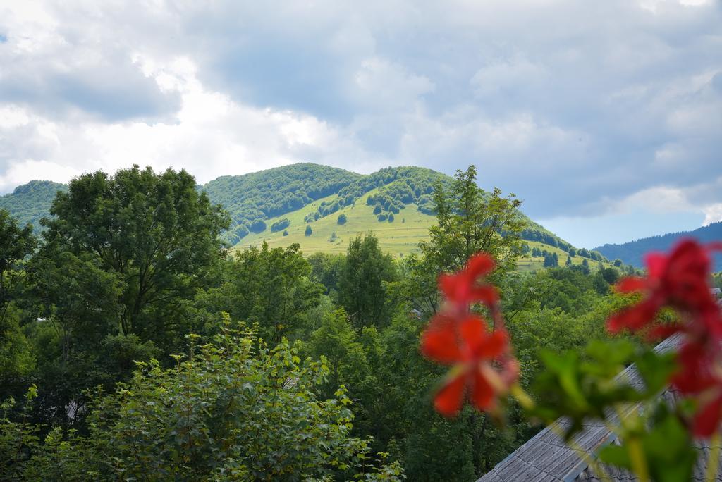 Отель Glodeanca Экстерьер фото