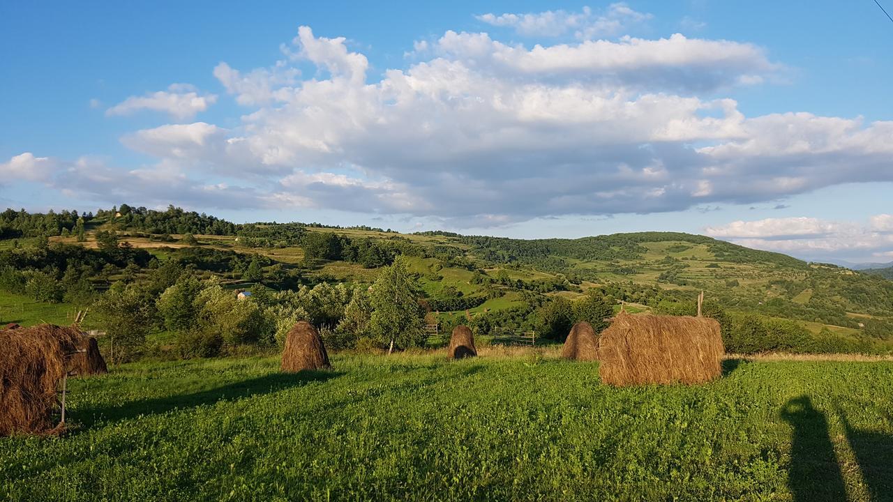 Отель Glodeanca Экстерьер фото